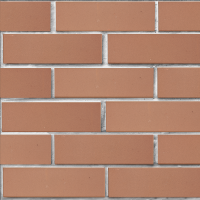 lsr_1nf_svetlokorichnevy_glad_tekst