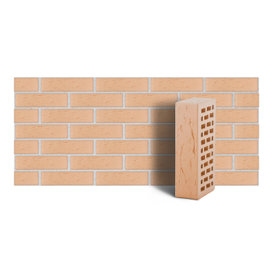 lsr_1nf_slon_kost_rustik