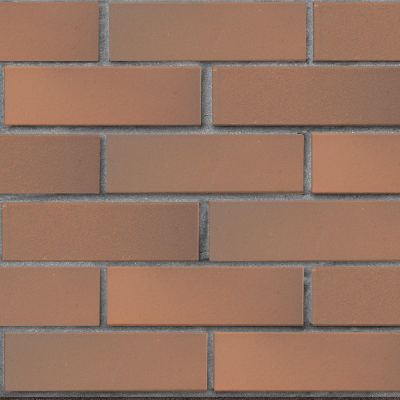 lsr_1nf_svetlokorichnevy_flesh_glad_tekst1