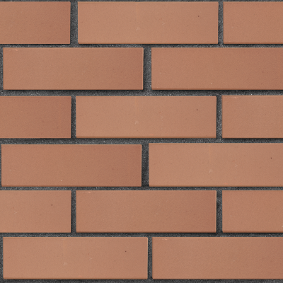 lsr_1nf_svetlokorichnevy_glad_tekst2