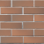 lsr_1nf_svetlokorichnevy_flesh_glad_tekst