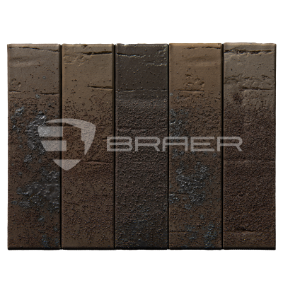 braer_78.09_3
