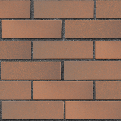 lsr_1nf_svetlokorichnevy_flesh_glad_tekst2