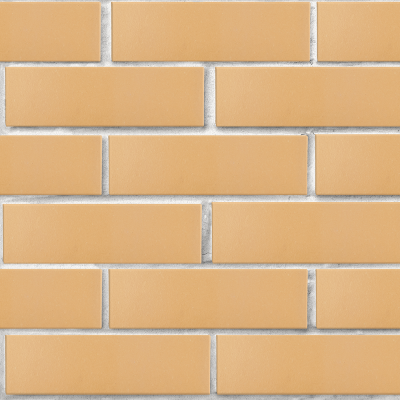 lsr_1nf_pshenichny_gladky_tekst1