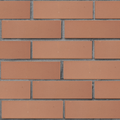 lsr_1nf_svetlokorichnevy_glad_tekst1